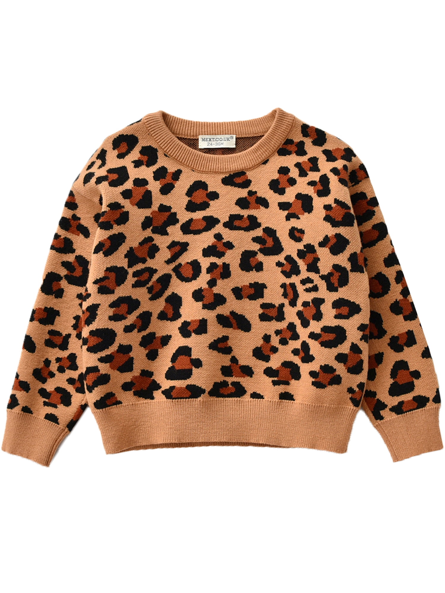 leopard sweatshirt