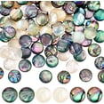 thumbnail image 1 of 90 piezas de cabujón de concha de abulón de 3 colores, 10 mm, acrílico, concha de abulón, paua, conchas marinas semicirculares, 1 of 6
