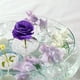 thumbnail image 5 of Florero flotante, jarrón hidropónico, border decorativo, vaso hydroponic para flores frescas, dise?o moderno, portátil, metal frame, para office, alta capacidad, estilo contemporáneo,, 5 of 9