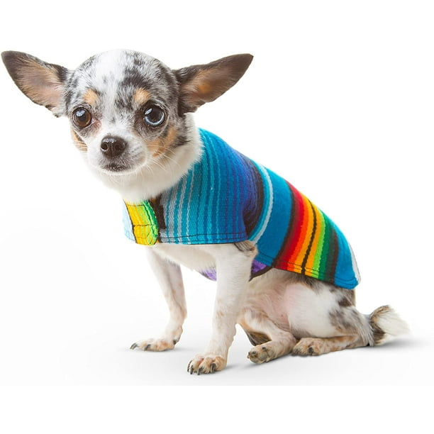 Traje mexicano para perro sale