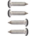thumbnail image 1 of Cruiser Accessories Fasteners, Tapping Stainless, 1 of 3