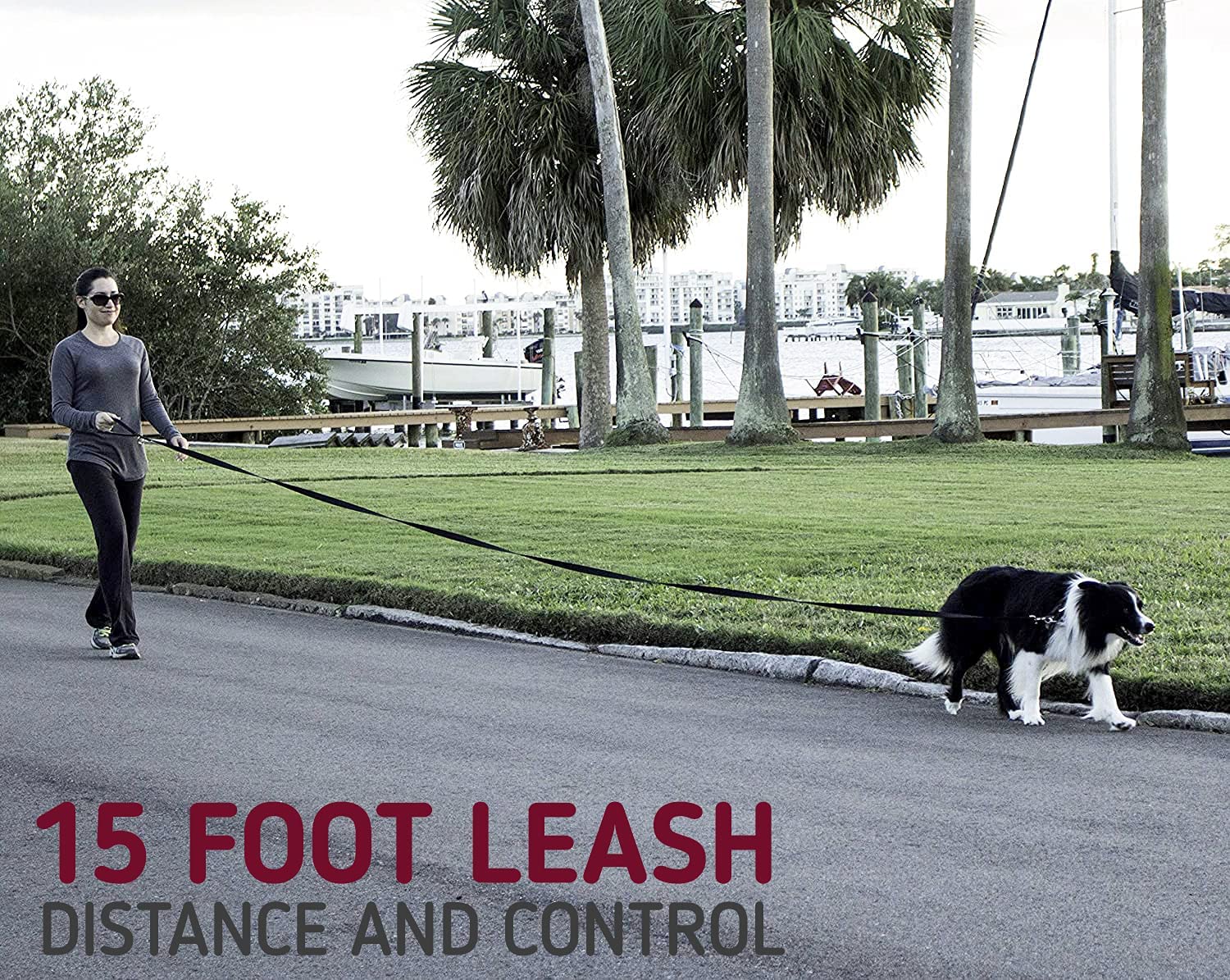 Leash Boss 1 Inch | Training, Walking, Camping Lead for Medium and Large Dogs (15 Foot)