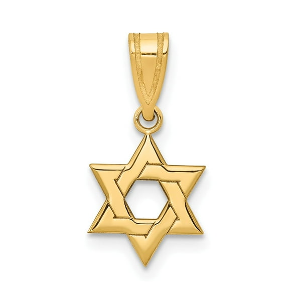 14K Yellow Gold Charm Pendant Themed 17 mm 10 Star Of David