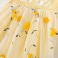 thumbnail image 6 of HWJAD Baby Girl 1st Birthday Clothes One Year Old Tulle Romper Dress Sleeveless Cake Smash Outfits 9-12 Months, 6 of 7
