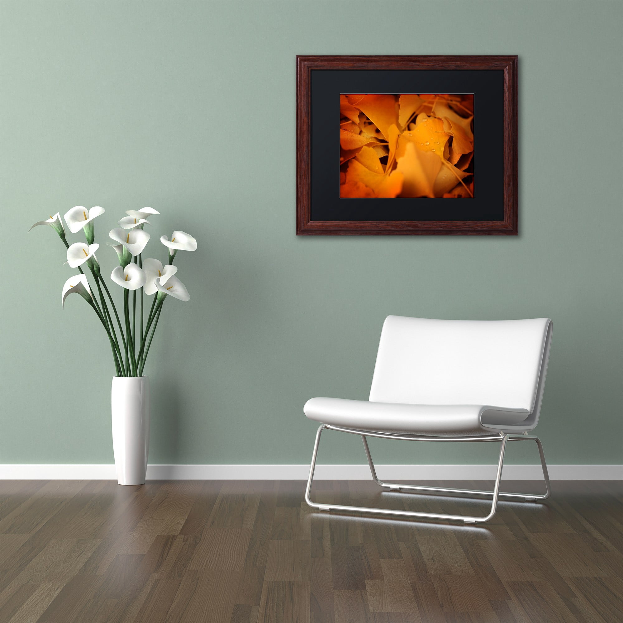 Trademark Fine Art "Divine Pearls" Canvas Art by Philippe Sainte-Laudy Black Matte, Wood Frame