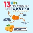 thumbnail image 4 of Kids Multivitamin Gummies - Sugar Free - Tasty Orange Flavor Gummy - Daily Immune Support with 100% Vitamin B12 - Essential Vitamins A, C, D3, E, B6, & Zinc Kid's Multivitamin - Non-GMO - 60 Gummies, 4 of 10