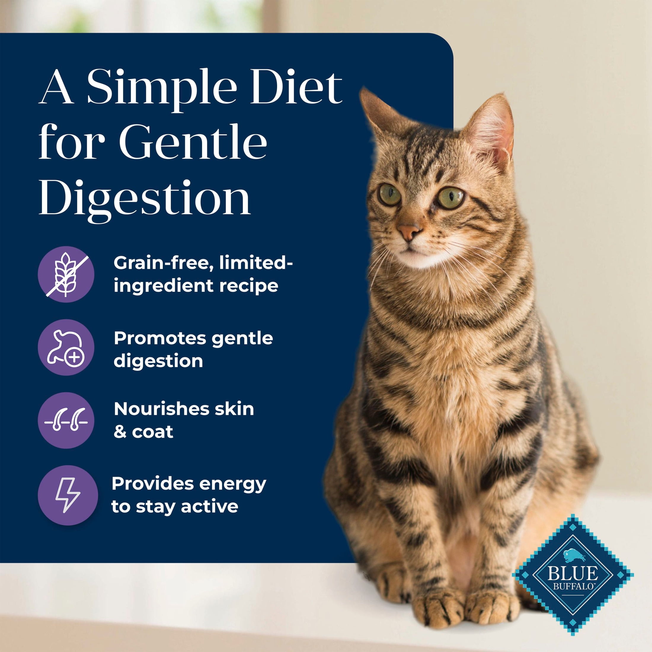 Blue Buffalo Basics Mature Dry Cat Food, Skin & Stomach Care, Turkey, Chicken Free, 5lb