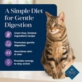 thumbnail image 4 of Blue Buffalo Basics Mature Dry Cat Food, Skin & Stomach Care, Turkey, Chicken Free, 5lb, 4 of 12