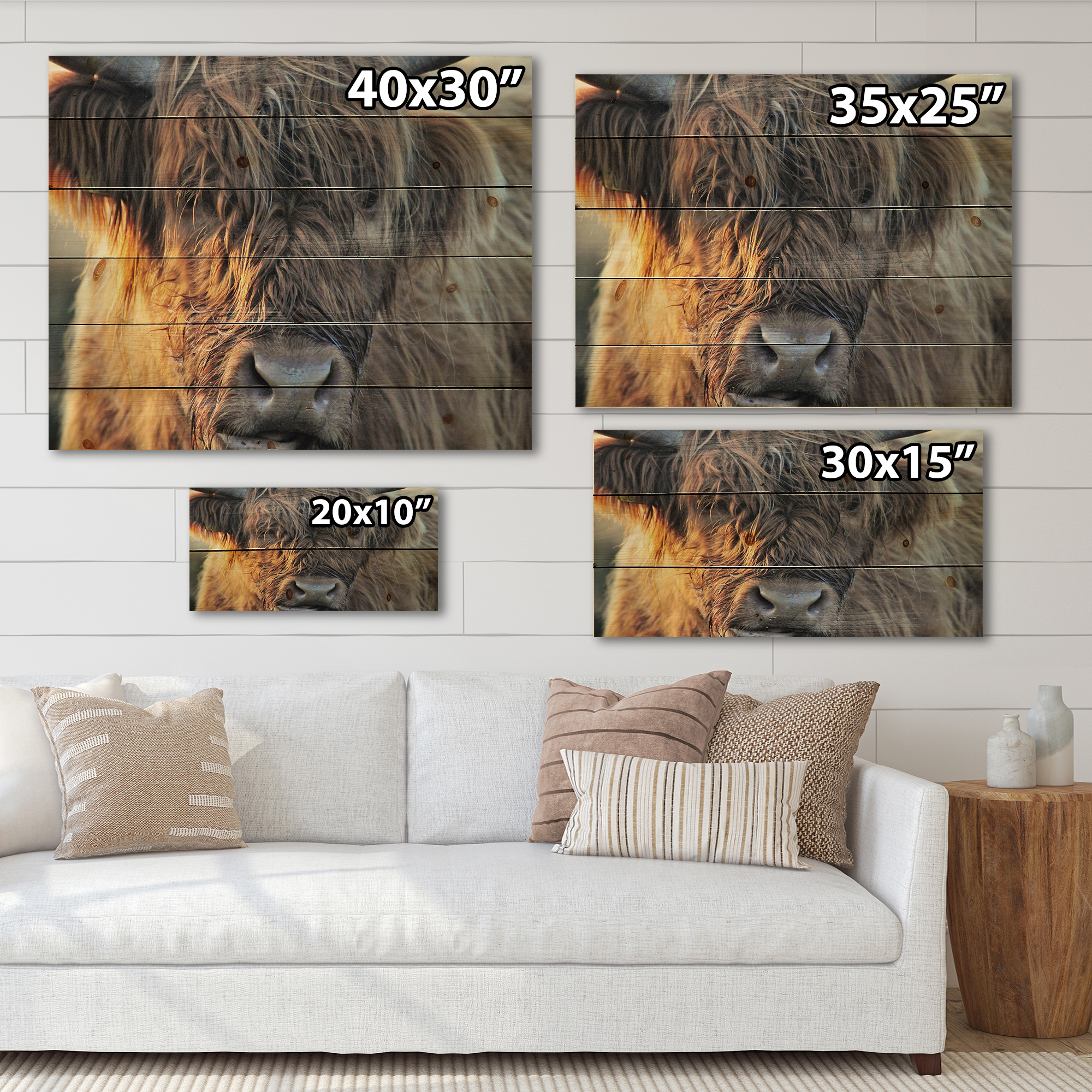 Designart 'Close Up Of Scottish Cow On Moorland III' Farmhouse Print on Natural Pine Wood