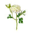 thumbnail image 1 of Yuarrent Ramo de Camelia Artificial de 2 cabezas simulación hogar jardín decoración boda banquete fiesta DIY Decoración Accesorios Flores artificiales verde blanco Yuarrent HA8264-02B, 1 of 6