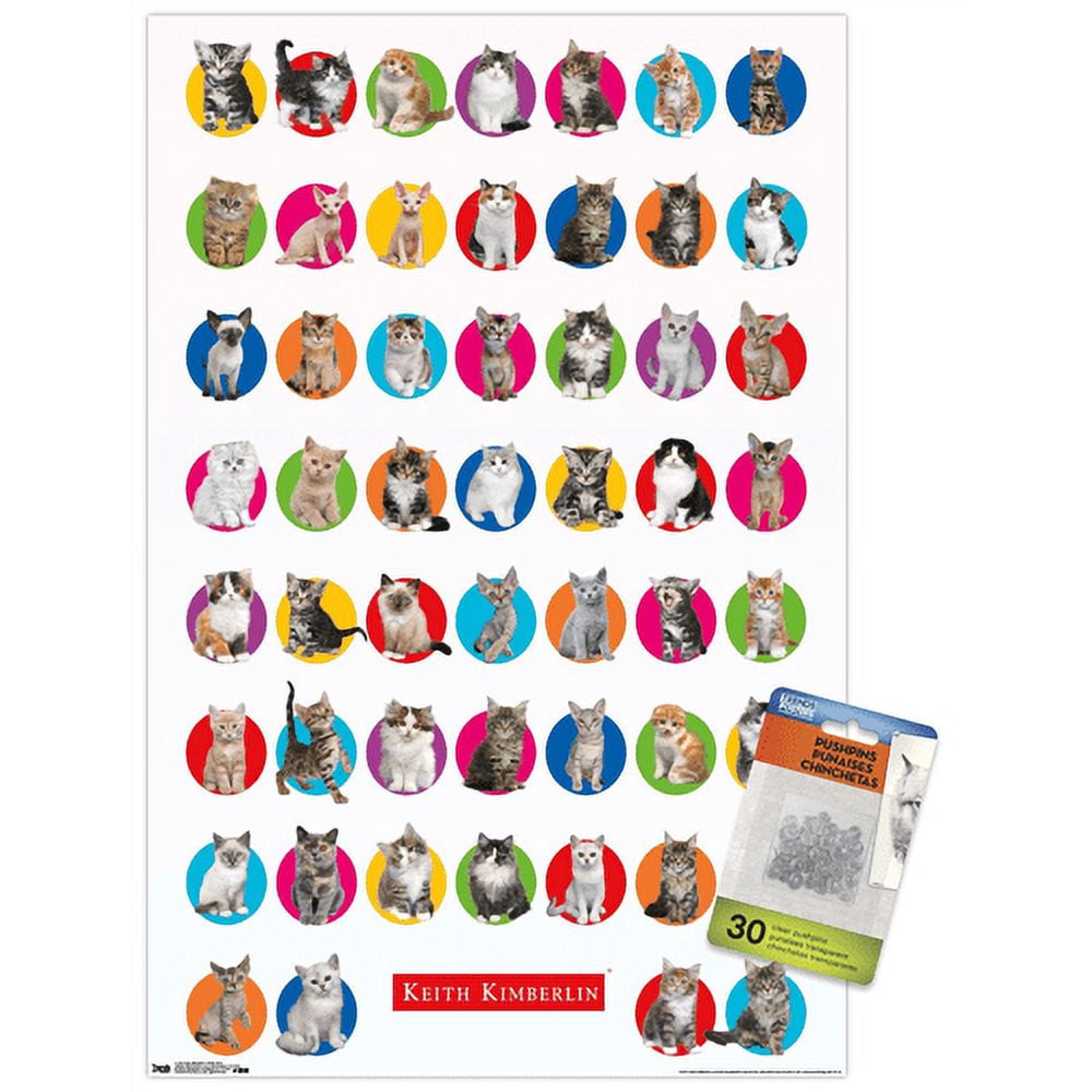Keith Kimberlin - Kitten Grid Wall Poster with Push Pins, 14.725" x 22.375"