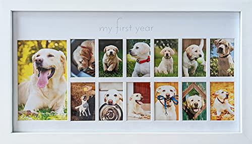 My First Year Baby Picture Frame 12 Month Photo Frame Photo Baby Moments White 