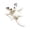 A003- Color C, variant on Plush Keychain, Cute Flying Squirrel, 1 Piece, Bag Charm for Decoration