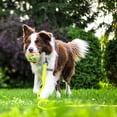 thumbnail image 4 of Correa de entrenamiento para perros Leash Wolfone, 3 m, amarilla, impermeable, 4 of 7