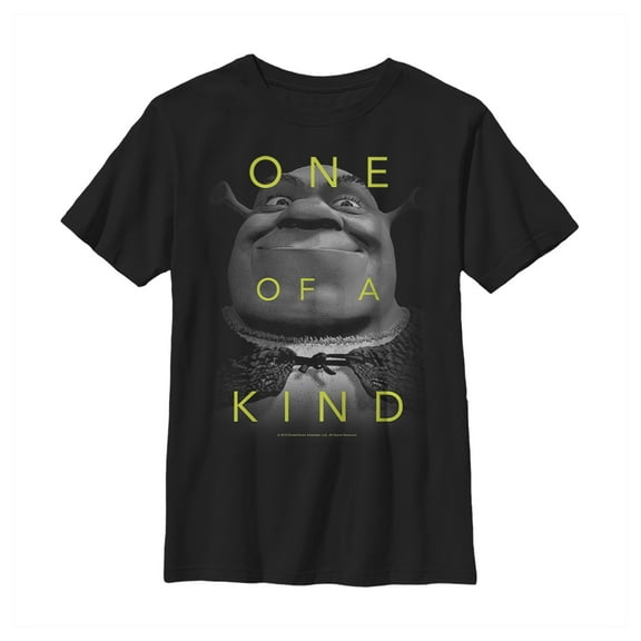 Boy's Shrek One of a Kind Graphic Tee Black X Small