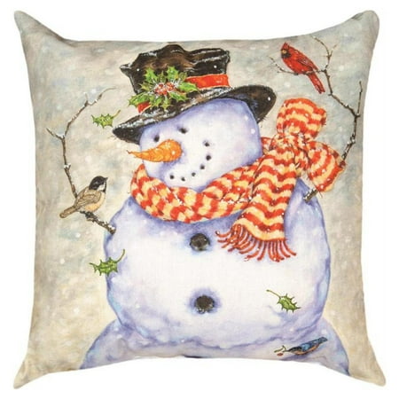 Manual Its Cold Outside Decorative Pillow