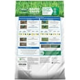 thumbnail image 3 of Scotts Turf Builder Rapid Sun & Shade Grass Seeds, 16 lbs - Fast Growing, 3 of 5