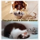 thumbnail image 3 of YOUTHINK Spill-Proof Pet Bowl Automatic Dog Bowl Vehicle-Carried Floating Bowl Slow-Drying Water, 3 of 4