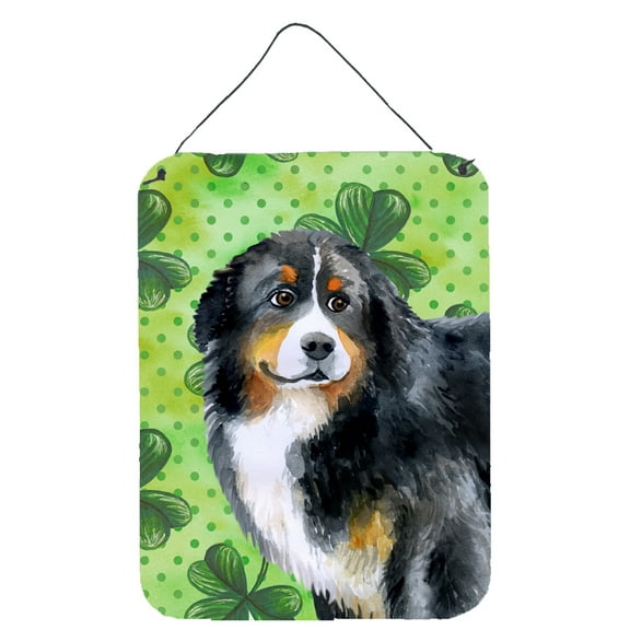 Carolines Treasures BB9819DS1216 Bernese Mountain Dog St Patricks Wall or Door Hanging Prints Green 12WX16H multicolor
