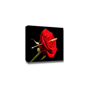 wall26 3 Panel Canvas Wall Art - Black and White Roses with Touch 