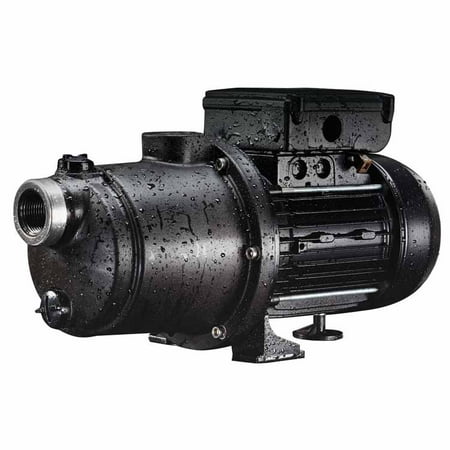 Booster Pump Systems - Pentair Boost-Rite Booster & Pressure-Side Cleaner Pump | LA-MS05 (For Parts)