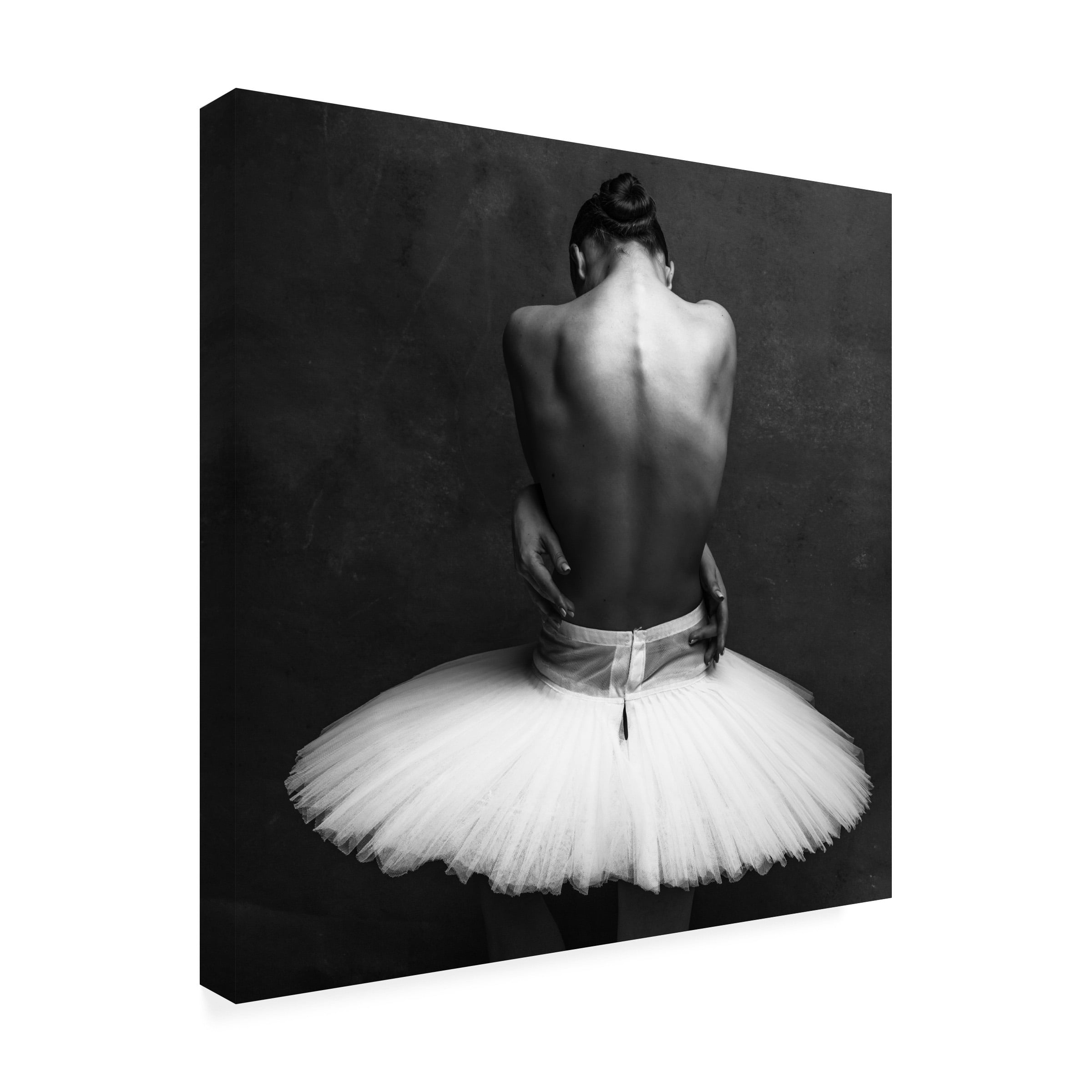 Alexander Yakovlev 'ballerinas back 2' Canvas Art