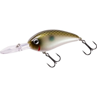 Bass Assassin PEJ18001 Pro Elite Jighead 1/8 oz 2/0 Hook - Walmart.com Bass Assassin PEJ18001 Pro Elite Jighead 1/8 oz 2/0 Hook - Walmart.com