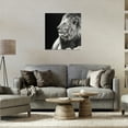 thumbnail image 3 of Stupell Industries Lion Portrait on Black Animals Photography Wrapped Canvas Art Print Wall Art, 24 x 24, 3 of 8