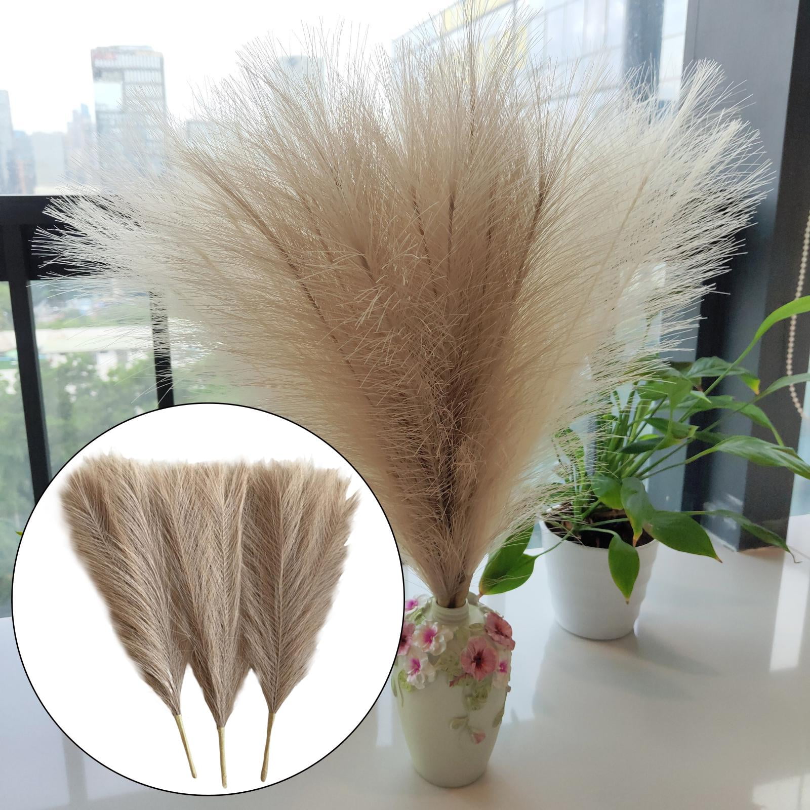Axioma 9 Pieces Dried Pampas Grass Bohemia Reed Flowers Bunch Home Gift Living Room