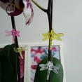 thumbnail image 2 of 30 Pcs Dragonfly Orchid Clips Orchid Grower Support Garden Plant Vine Clips, 2 of 10