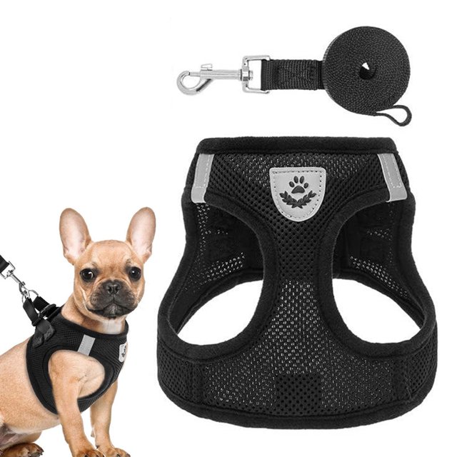 Correa para perros pequeños, correa para chaleco para perros, correa para el pecho para mascotas, correa para caminar transpirable sin asfixia para perros pequeños MFZFUKR BST3019922-2