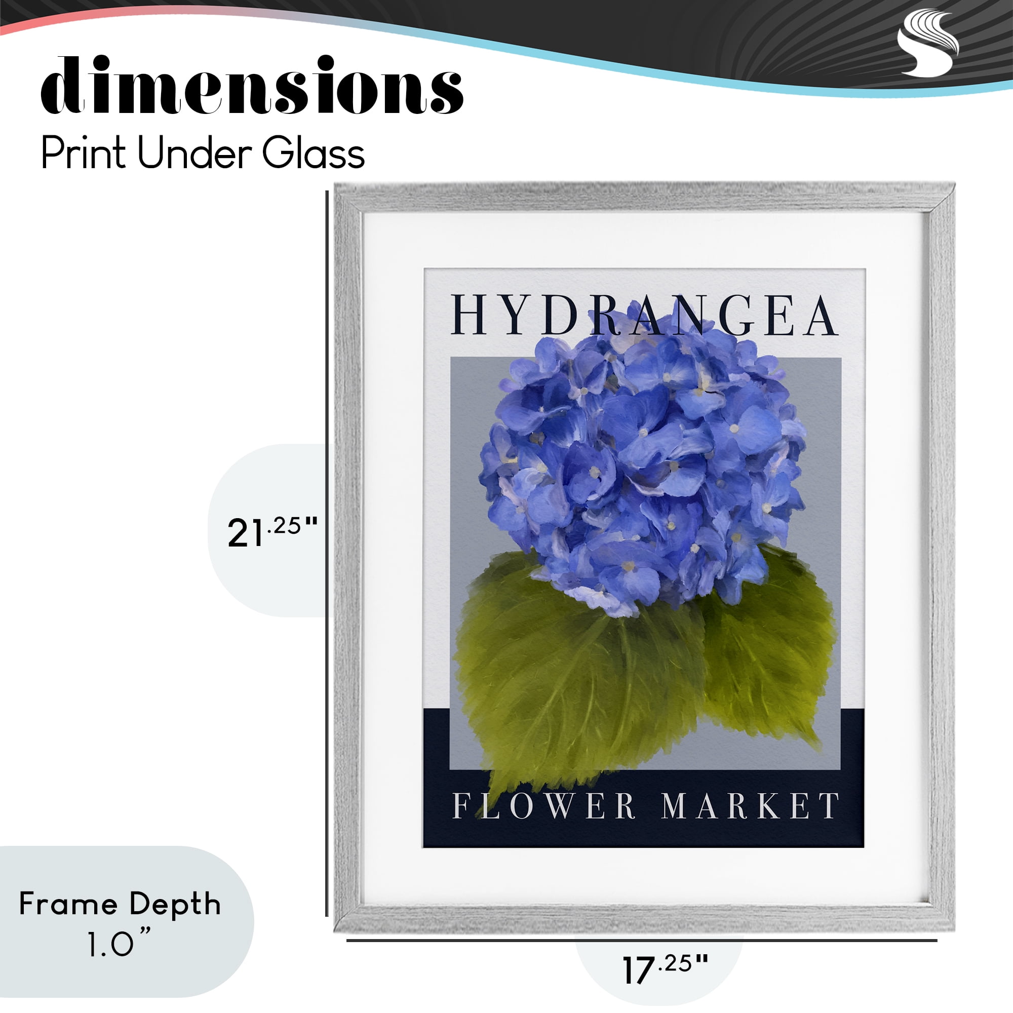 Stupell Industries Hydrangea Flower Market Gray Framed Print Under Glass, design by Jennifer Stith