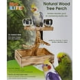PENNPLAX BirdLife Natural Wood Tree Perch for Small and Medium Birds