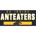 thumbnail image 2 of Women's Navy UC Irvine Anteaters Team Strong Long Sleeve T-Shirt, 2 of 2