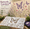 Butterfly Garden, variant on Garden Wall Stencil – Reusable Diy Kit For Walls, Reusable DIY Painting Template, Nature Floral Series, Durable PET Plastic, Outdoor Fence Patio Decoration, 1 Pack