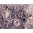 thumbnail image 2 of Frank, Assaf 18x15 White Modern Wood Framed Museum Art Print Titled - Full frame of mixed flowers, 2 of 4