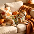 thumbnail image 5 of Thanksgiving Day Dog Vest, Pet Cat Fall Sleeveless Shirts with Pumpkin Turkey Autumn Leaves Owl Patterns, Dog Thanksgiving Vest Tank Tops, Outfit for Small Medium Dogs (Green, Xl), 5 of 7