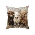 thumbnail image 2 of ddioayh Throw Pillow Cover Animal Print Soft Machine Washable 45x45cm for Sofa Chair Bedroom Home Decor Spring Easter Pet Theme Decorative Gift Idea, 2 of 6