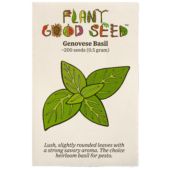 Plant Good Seed Genovese Basil Seeds: Italian Heirloom from Italy Organic Full Sun Perennial, Packet