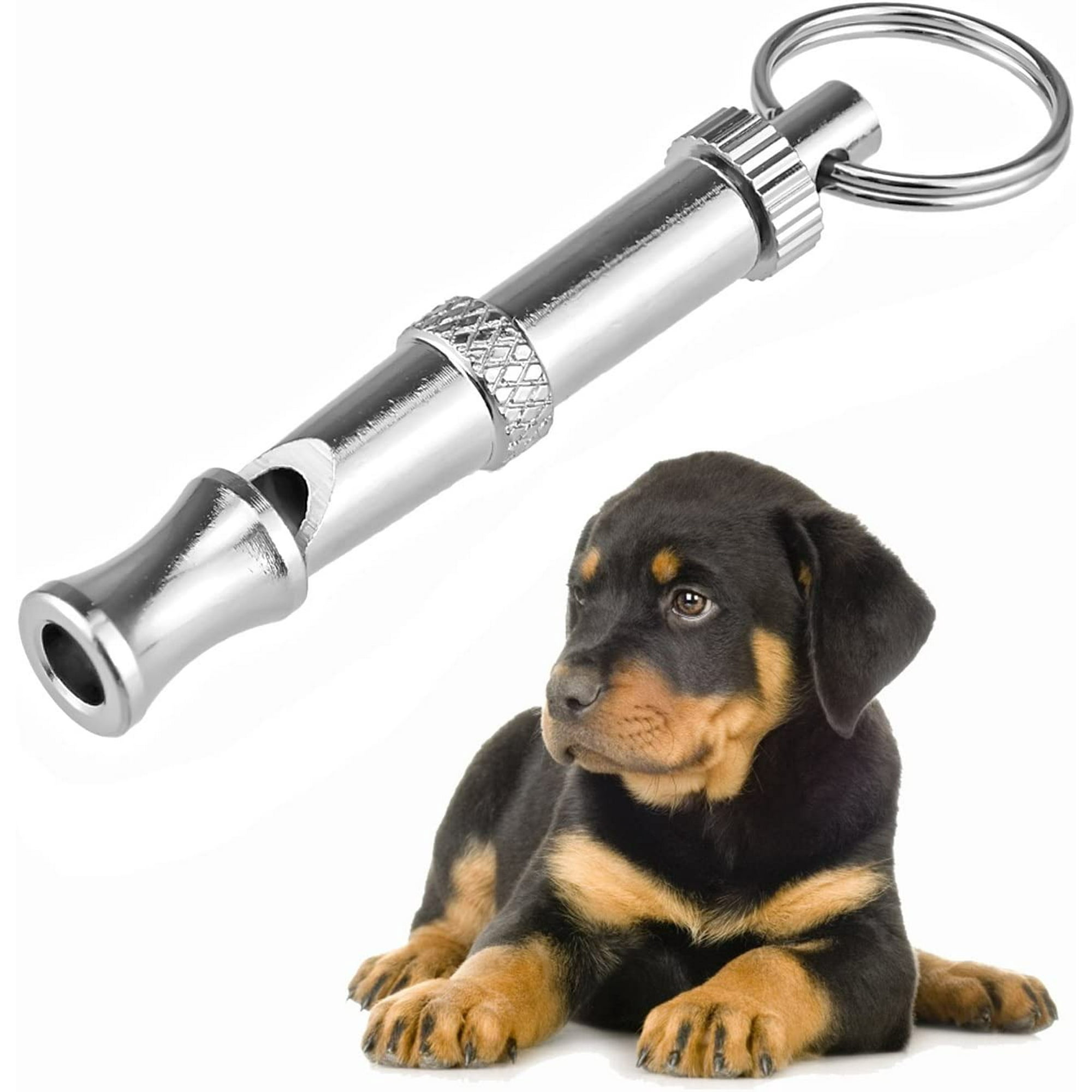 Can A Dog Whistle Stop Barking