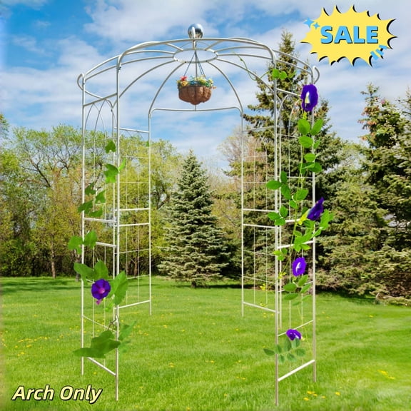 Tcbosik 114.2"H Birdcage Shape Garden Arch, Heavy Duty Metal Arbor, Wedding Trellis for Climbing Vines in Outdoor Garden, Lawn, Backyard, Patio, Cream White