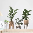 thumbnail image 3 of 2PCS Simulation of Green Plant Ornamental Potted Wall Stickers for Bedroom Living Room Office Home Decoration Wall Decals, 3 of 7