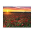 thumbnail image 2 of Beautiful Poppy Field During Sunrise Flower Canvas Wall Art for Home Decor Ready-to-Hang, 2 of 18