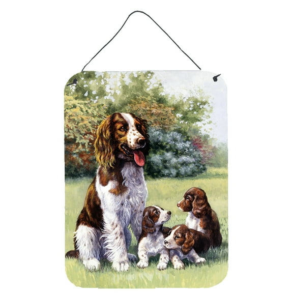 Springer Spaniels by Daphne Baxter Wall or Door Hanging Prints