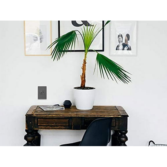 Legrand adorne 15A Tamper-Resistant Outlet With Matching Wall Plate (Magnesium Finish), ARTR152M4WP, 4-Pack