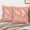 Pink 2, variant on Blue And White Buffalo Check Plaid Pillow Covers 18x18 Set of 2 Double-Sided Soft Pillow Covers Farmhouse Decor