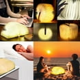 thumbnail image 6 of Folding Book Light,Portable Book Lamp Light,Accordion Books Shaped Lights,3color Lights,Rechargeable Foldable LED Paper Lamp for Home Decor,Unique Gifts for Books Lover(3 Color Light Small、KKL), 6 of 8