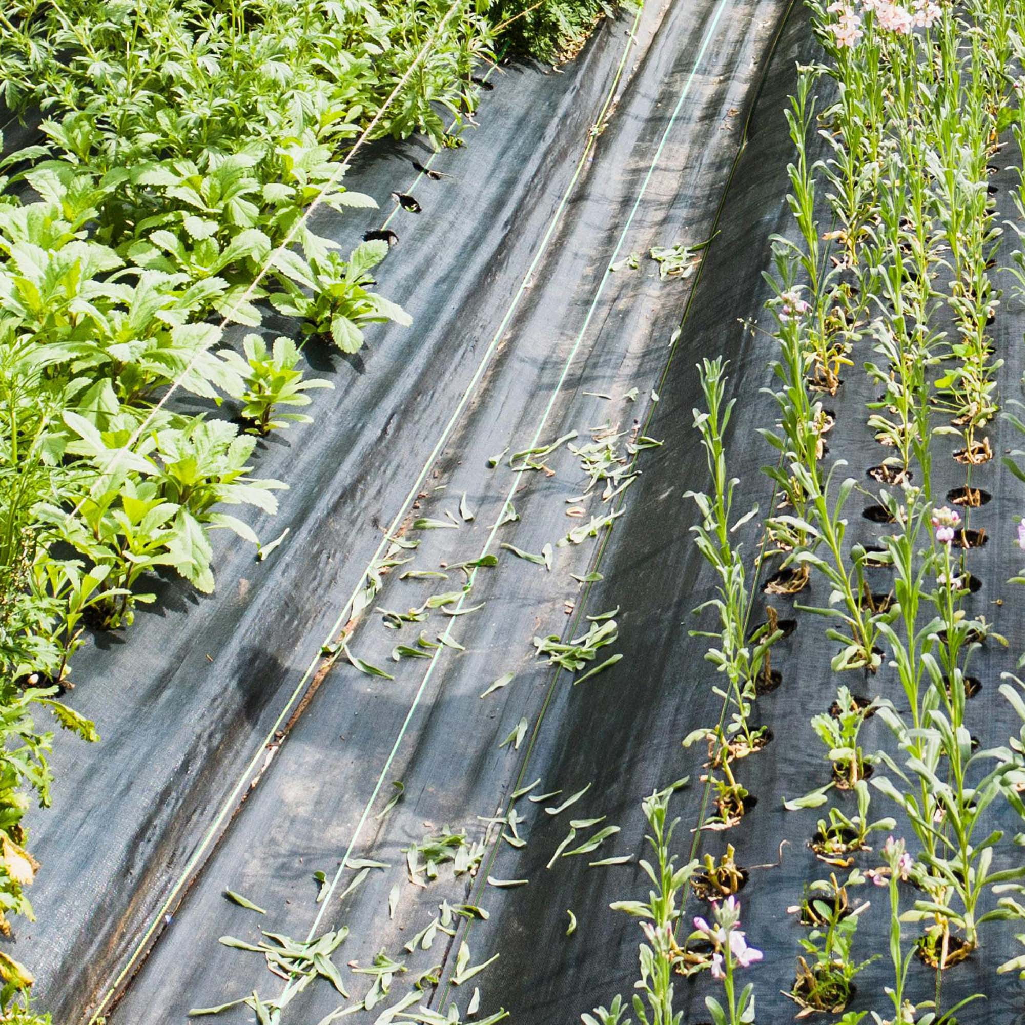 Costway 4 x 250FT Weed Barrier Landscape Fabric 4.6 OZ Heavy Duty Woven Gardening Mat