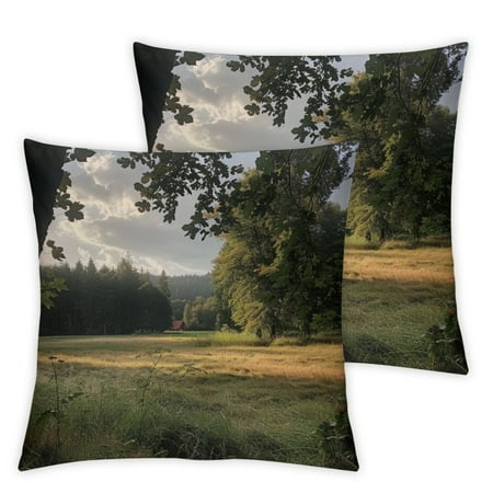 

RUIYC Deer Trees Field Short Plush Pillowcase Set of 2 for Car Couch Bedroom Autumn Theme 22x22in