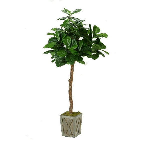 D&W Silks 6' Fiddle Leaf Fig Tree in Weathered Wood Box Planter